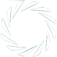 Logo Primera Division
