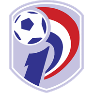 Logo Division Profesional