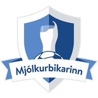 Logo Icelandic Cup