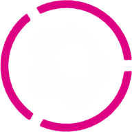 Logo Primera Division