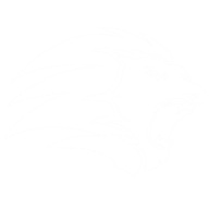 Logo Premier League