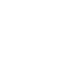 Logo Superliga