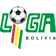 Logo Primera Division Qualification