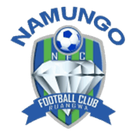 Logo Namungo FC
