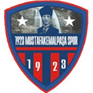 Logo Bursa Yildirimspor