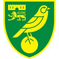 Logo Norwich City U18