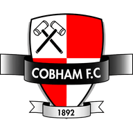 Logo Cobham