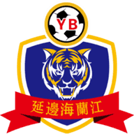 Logo Yanbian Longding