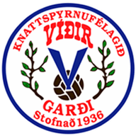 Logo Vidir