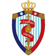Logo Nantong Haimen Codion