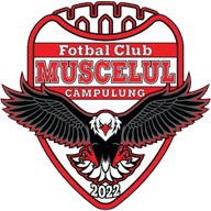 Logo Campulung Muscel