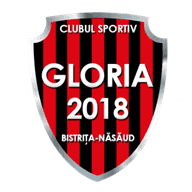 Logo Gloria Bistrița