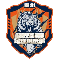 Logo Guizhou Xufengtang
