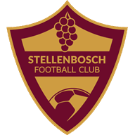Logo Stellenbosch FC