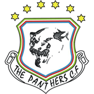 Logo The Panthers