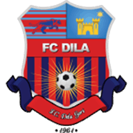 Logo Dila Gori