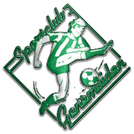 Logo Genemuiden