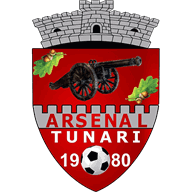 Logo CS Tunari