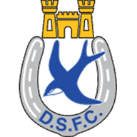 Logo Dungannon Swifts