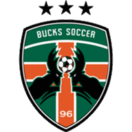 Logo Flint City Bucks