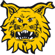 Logo Ilves (W)