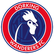 Logo Dorking Wanderers