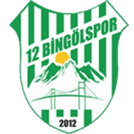 Logo 12 Bingolspor
