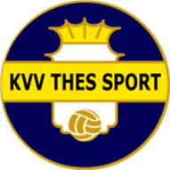 Logo Thes Sport