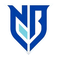 Logo Ningbo Professional