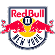 Logo Red Bull New York  II