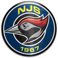 Logo NJS