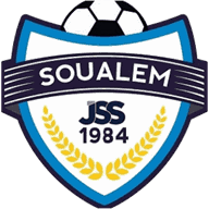 Logo Salmi
