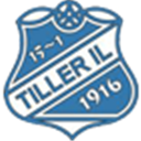 Logo Tiller IL