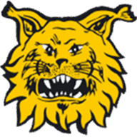 Logo Ilves II