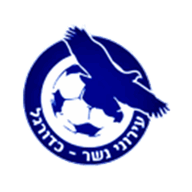 Logo Ironi Nesher