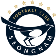 Logo Seongnam FC