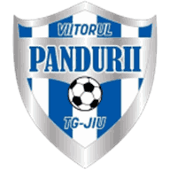 Logo Viitorul Pandurii Targu Jiu